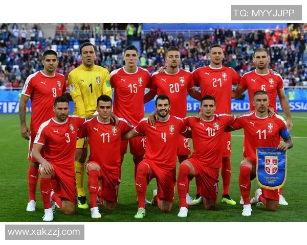 比利时与塞尔维亚激战正酣实况回顾与精彩瞬间分析 比利时与塞尔维亚激战正酣实况回顾与精彩瞬间分析